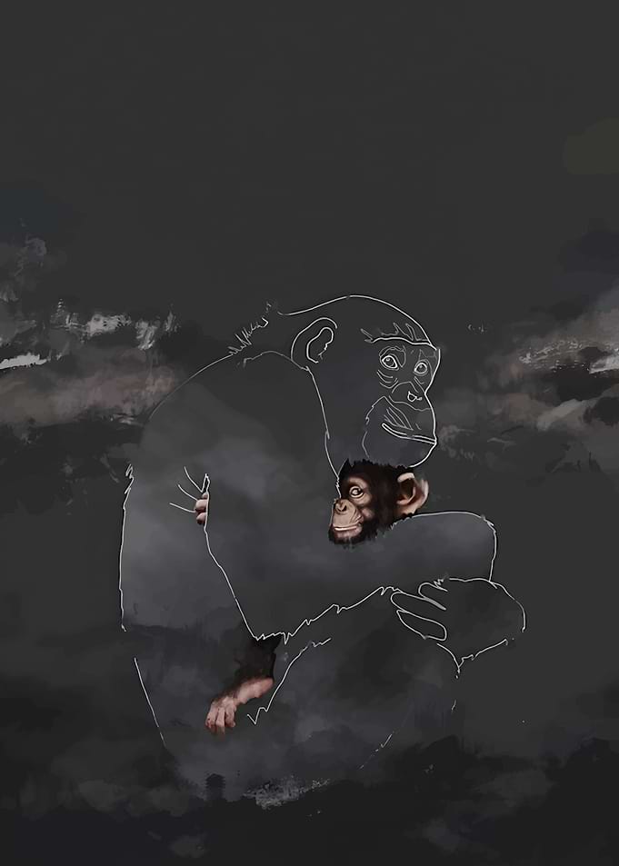 Chimpanzee Mother and Child