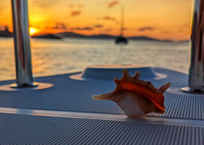 Seashell Sunset