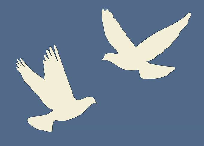 Minimal Two White Doves in Flight