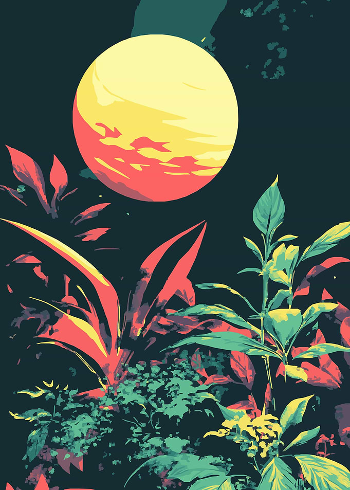 Tropical Night Sky