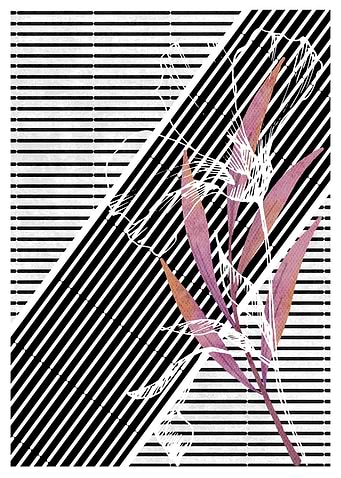 Floral Stripes Art Print