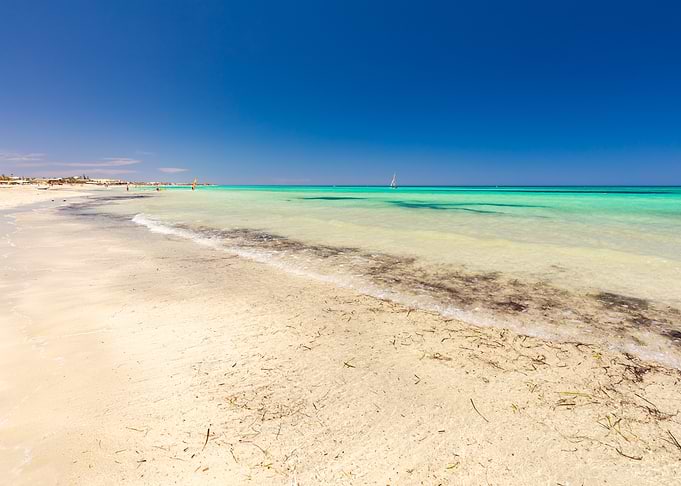 Tropical Beach with Clear Water, Djerba