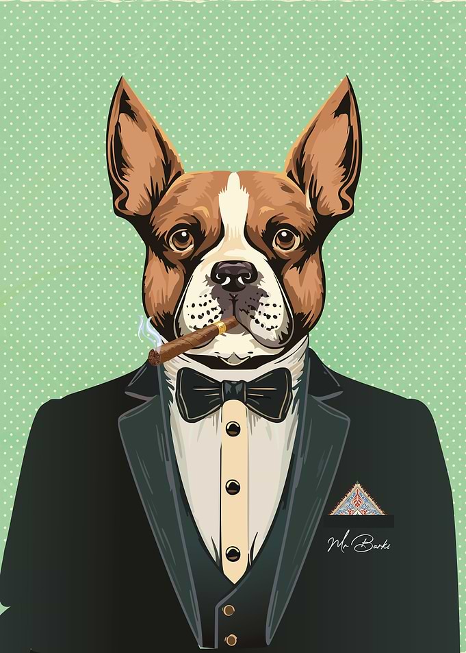 Mr Barks Smoking French Bulldog