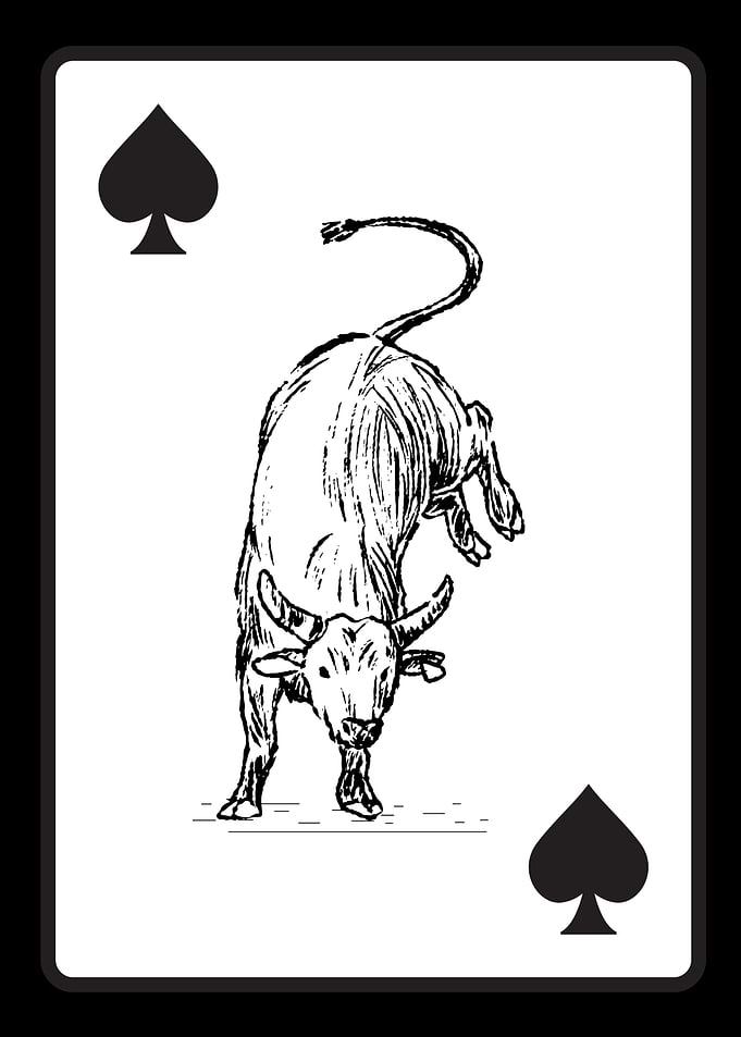 Bull Playing Card Ace of Spades