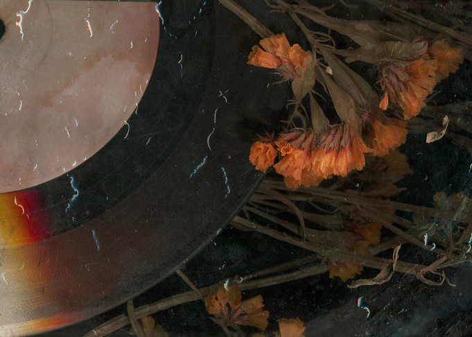 Dried Flowers on Vinyl