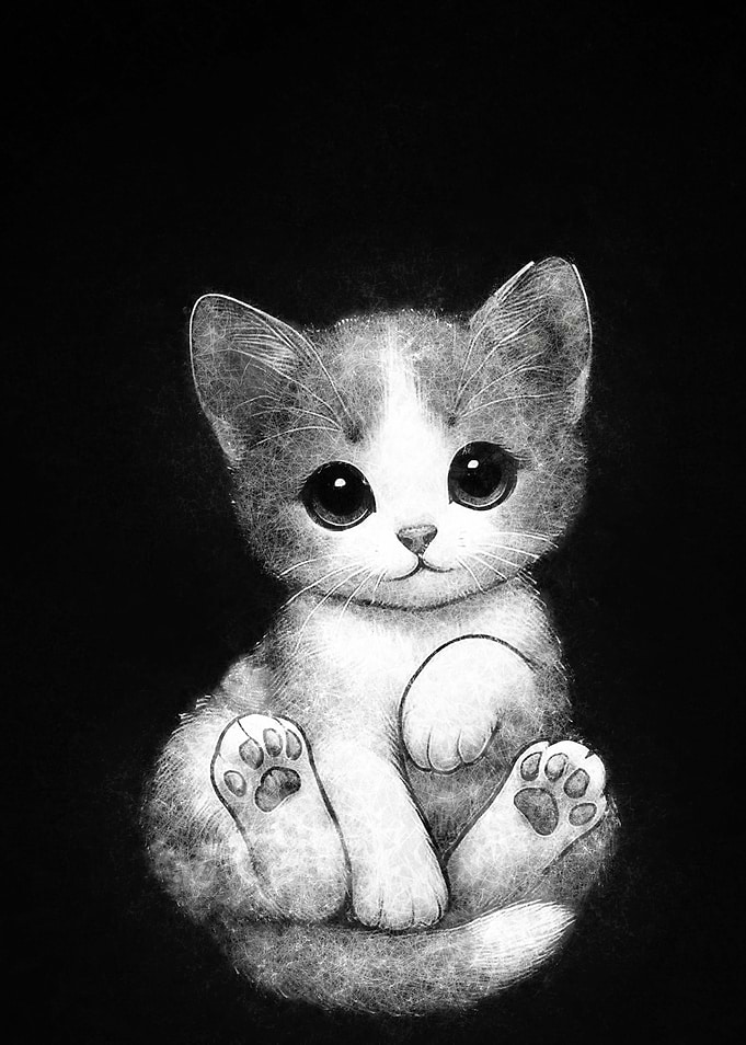 Cute Kitten Drawing sketch art