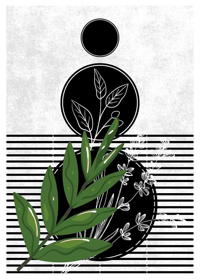 Black and White Floral Art