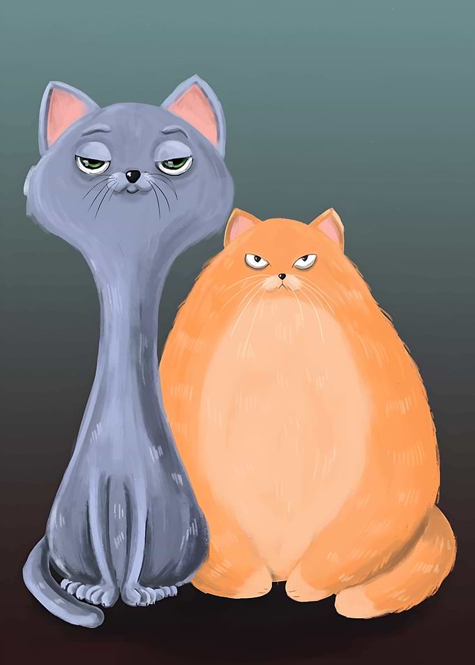 Two Grumpy Cats