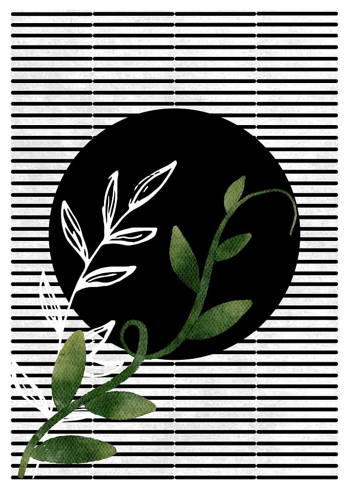 Black Circle Floral Art