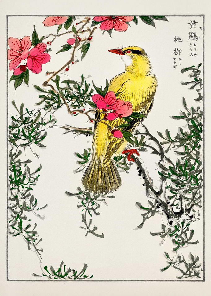 Japanese yellow Bird Painting