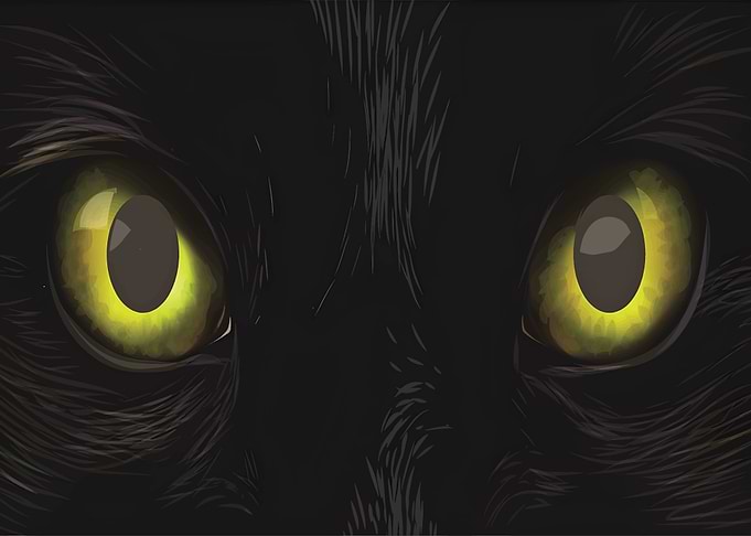 Cat Eyes Close-Up