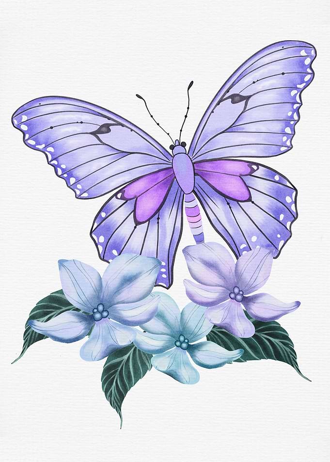 Purple Butterfly and Flowers