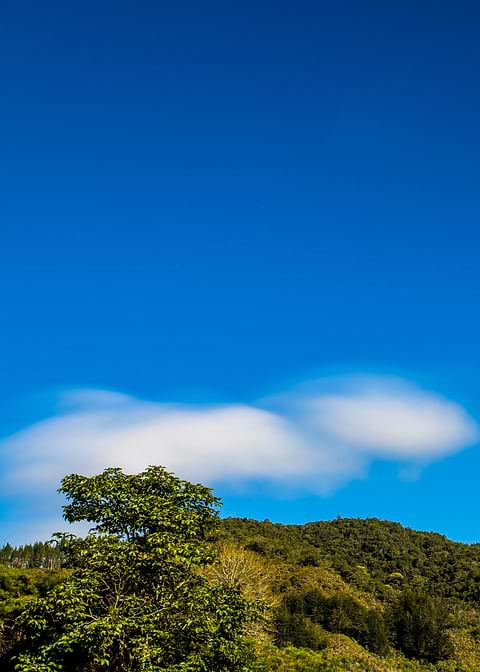 Blue Sky with Clouds and Trees