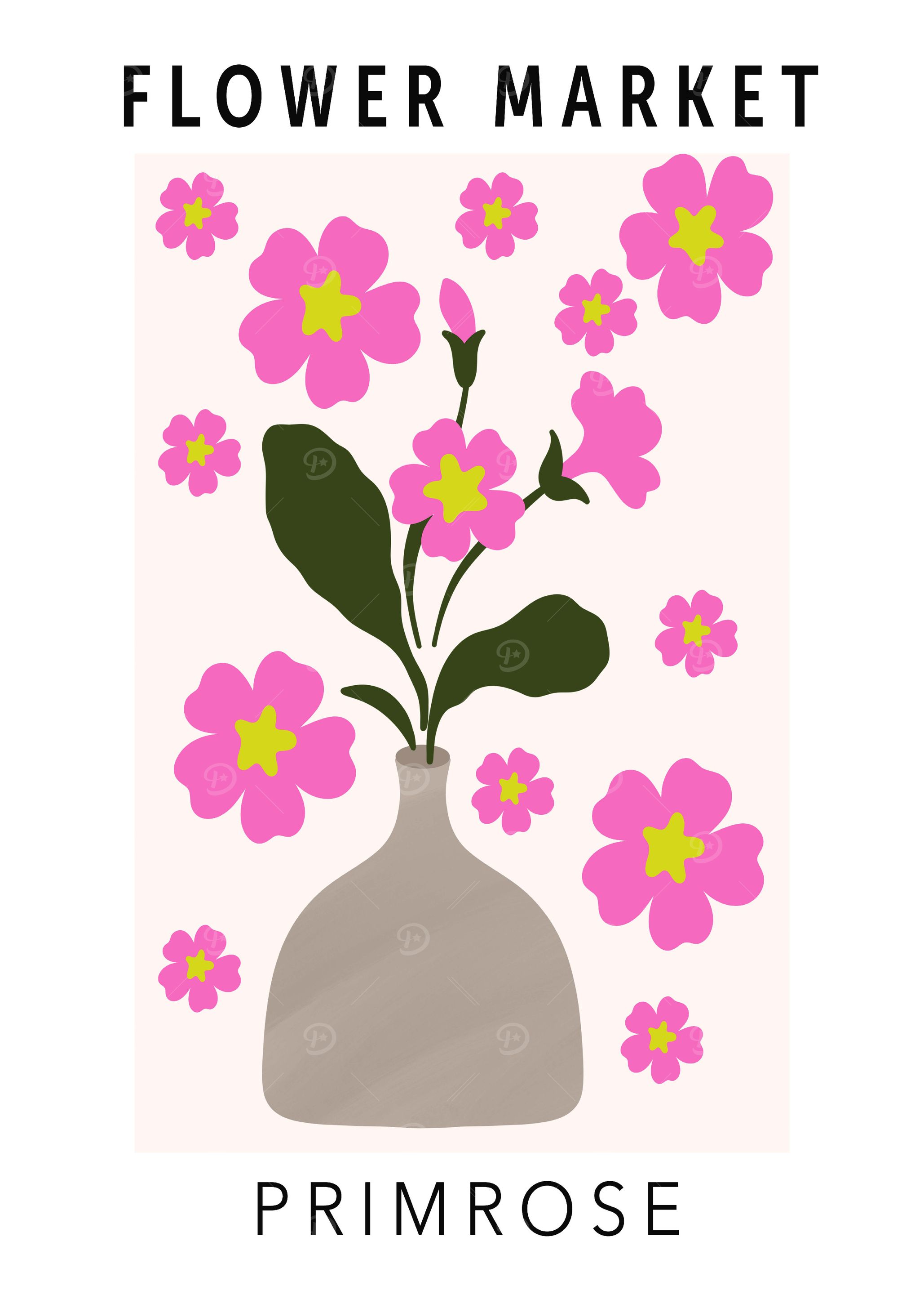 Primrose Flower Market