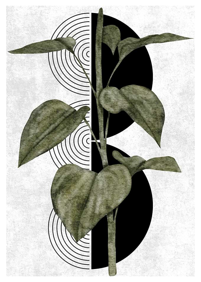 Green Plant with Black Circles