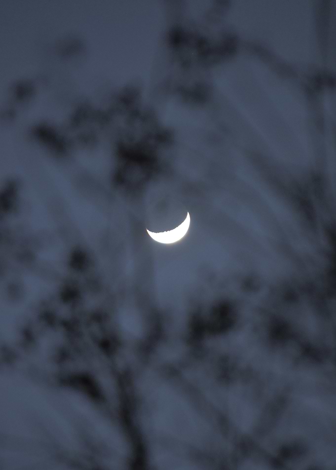 The Crescent Moon
