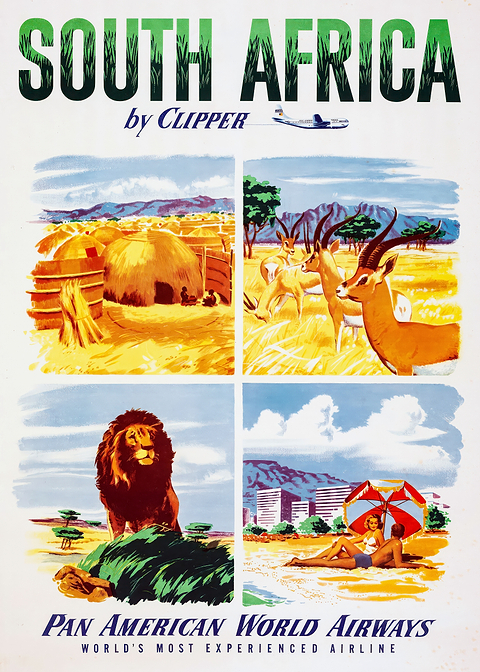 South Africa Travel Poster — retro travel art printed on metal