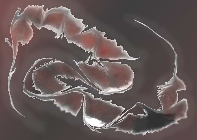 Abstract Mantis