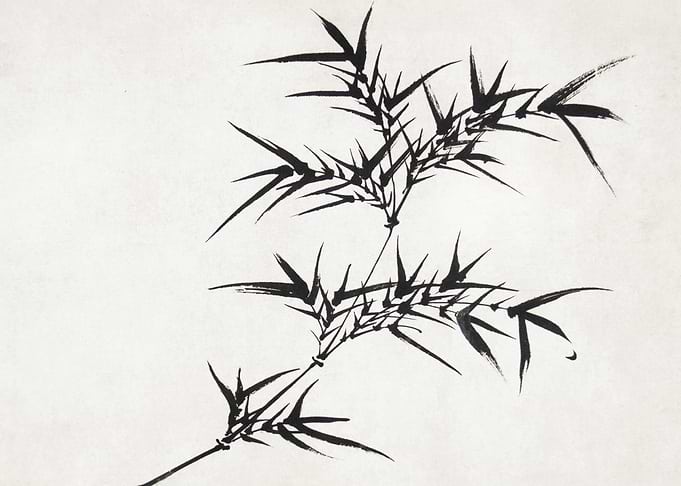 Black Ink Bamboo Painting