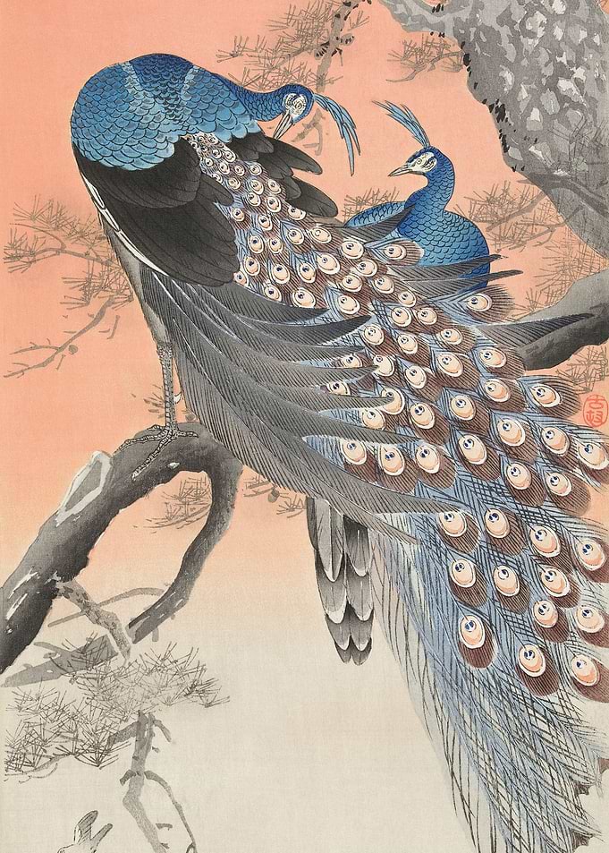 Peacocks on a Branch