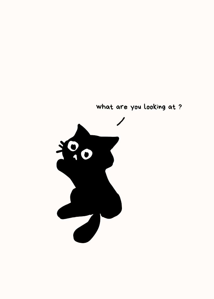 Black Cat Illustration