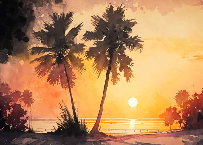 Sunset Palm Beach