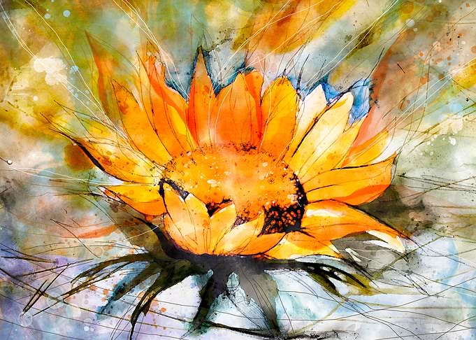 Sunflower Happyness