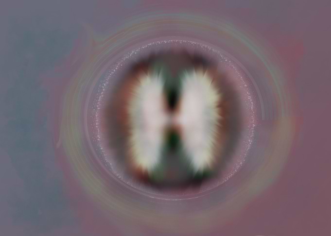hAngel Wings
