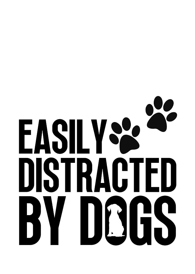 Easily Distracted by Dogs