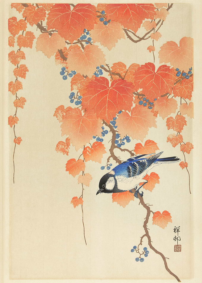 Japanese Bird on Vine