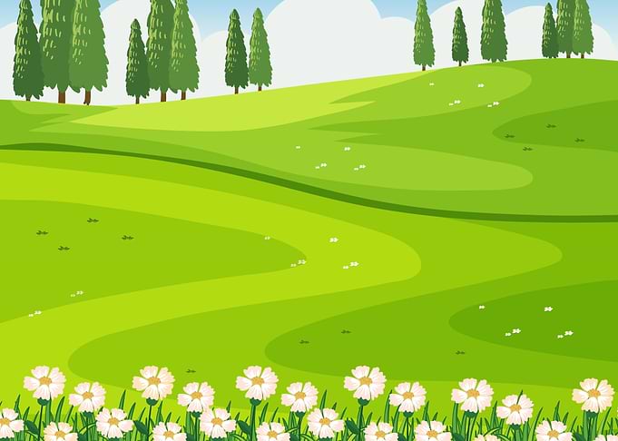 Green Meadow Landscape
