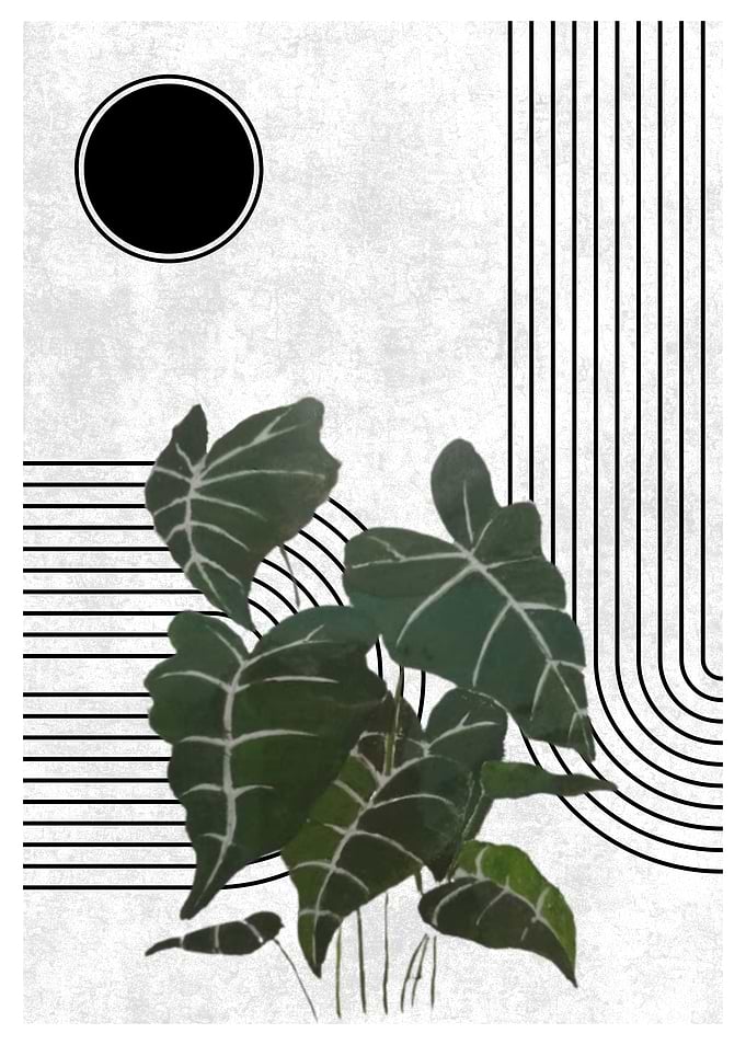Minimalist Plant Art