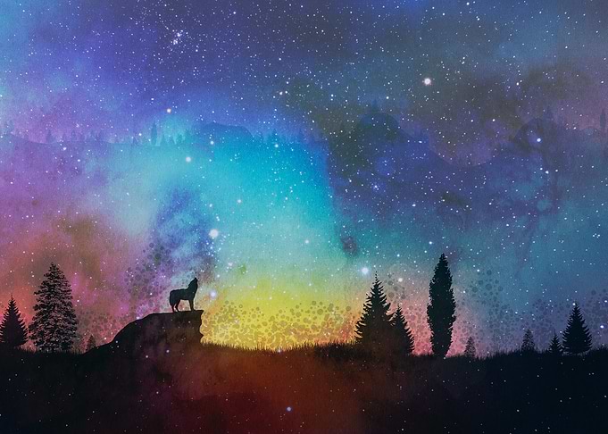 Wolf Howling Under Stars