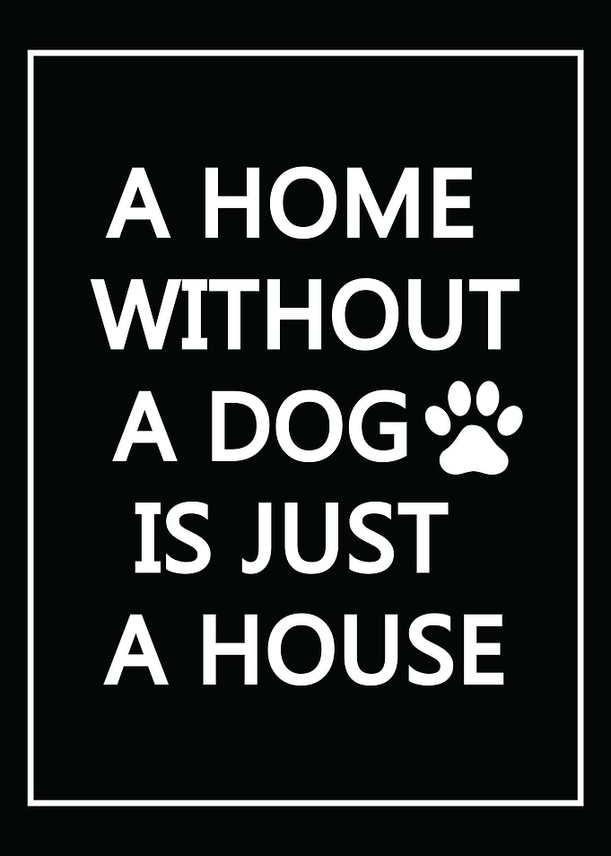 Dog Lover Quote