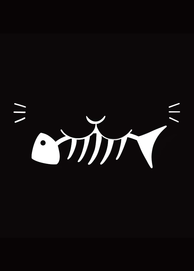 Cat Eating Fish Skeleton