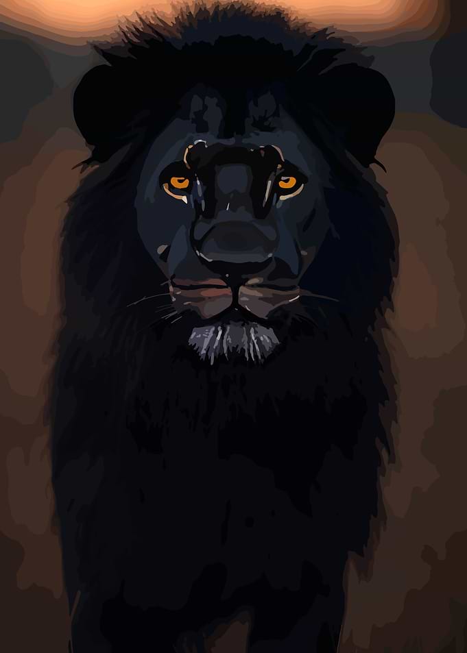 Black Lion Portrait