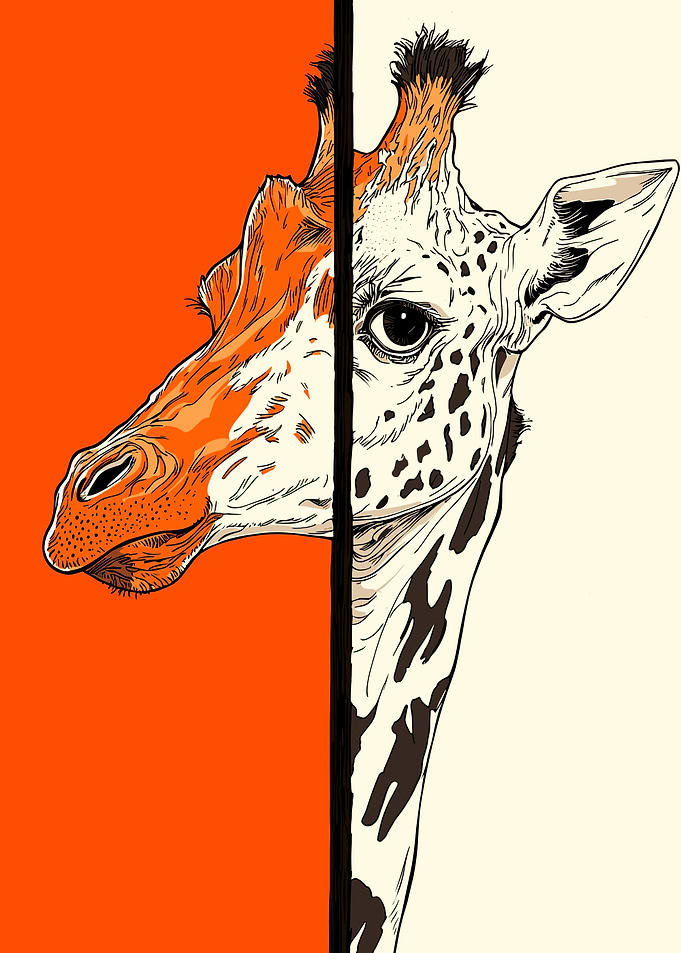 Giraffe Split Portrait