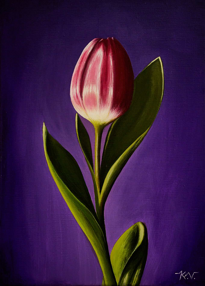 Single Tulip Painting