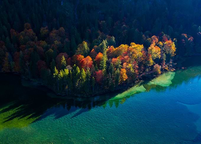 Autumn Morning at Almsee in Austria
