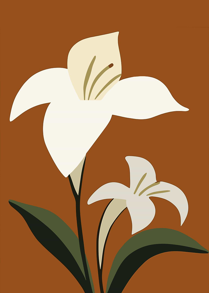Minimal White Lilies