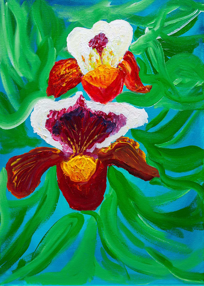 Flying Orchids