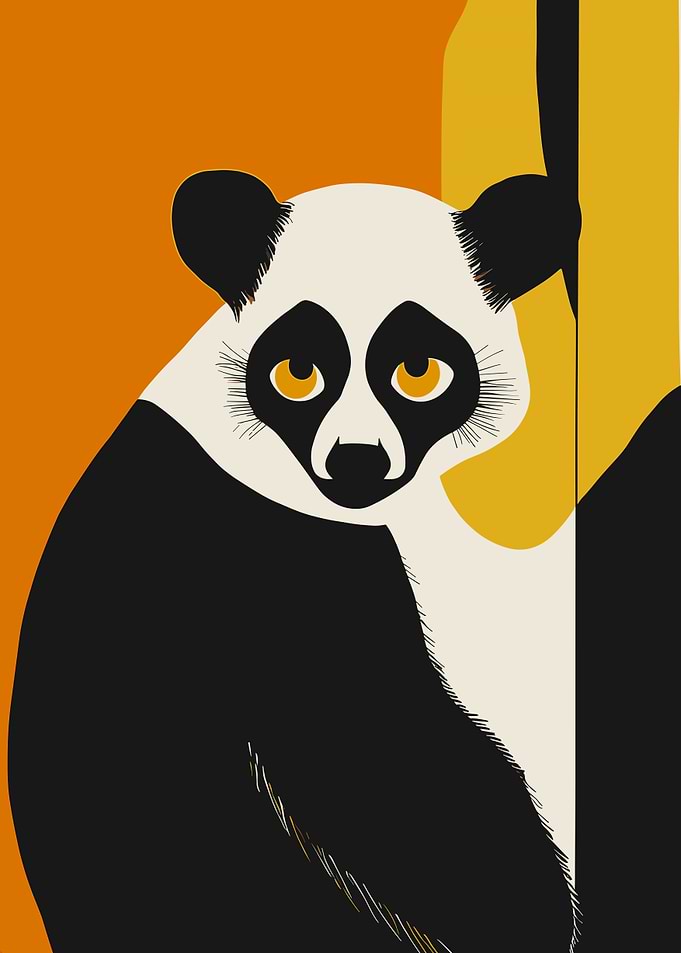 Black and White Lemur