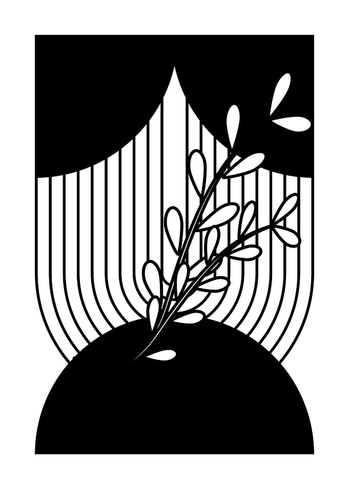 Black and White Floral Art
