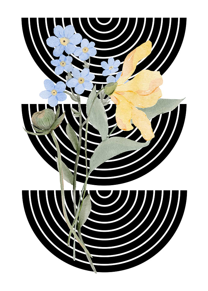 Floral Watercolor with Geometric Shapes