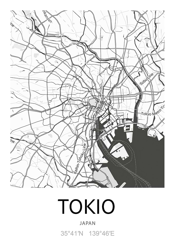 Tokyo City Map
