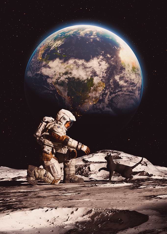 Moon Cat