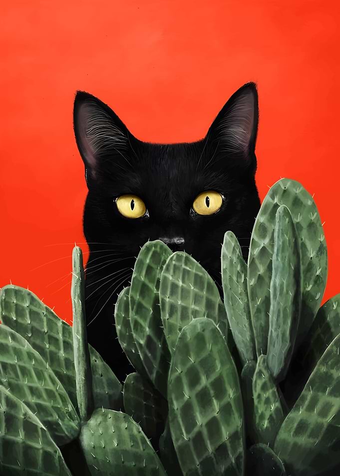 Black Cat and Cactus