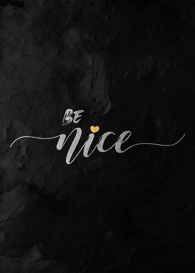 Be Nice Quote