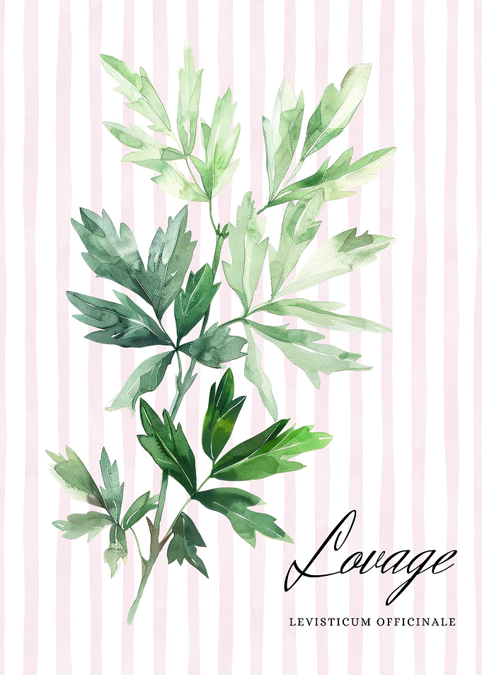 Watercolor Lovage Illustration | Herbal kitchen decor