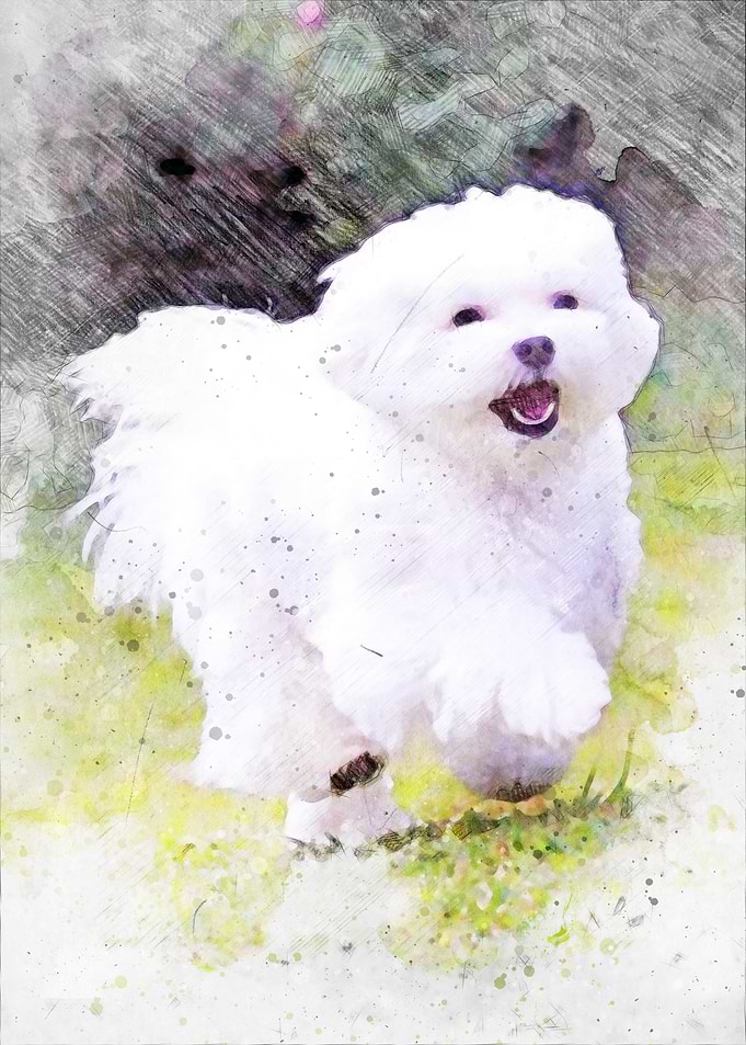 Pudle